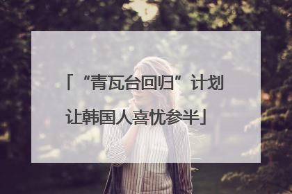 “青瓦台回归”计划让韩国人喜忧参半