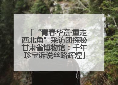 “青春华章·重走西北角”采访团探秘甘肃省博物馆：千年珍宝诉说丝路辉煌