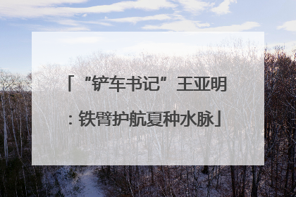 “铲车书记”王亚明：铁臂护航夏种水脉