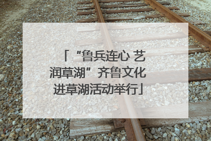 “鲁兵连心 艺润草湖”齐鲁文化进草湖活动举行