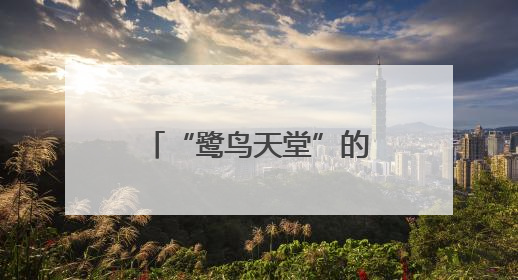“鹭鸟天堂”的诗意栖居：绿水青山中的共生智慧丨有一说一