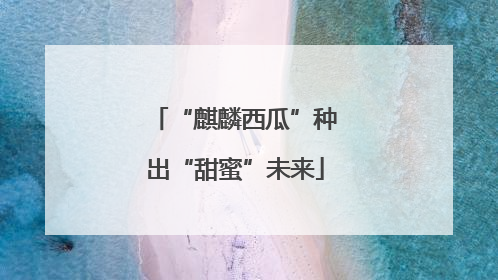 “麒麟西瓜”种出“甜蜜”未来