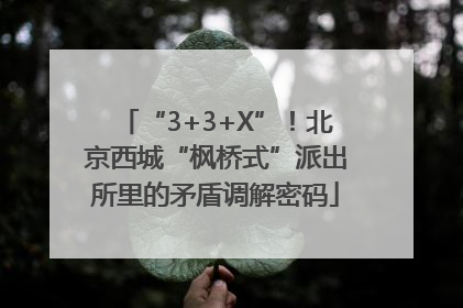 “3+3+X”！北京西城“枫桥式”派出所里的矛盾调解密码