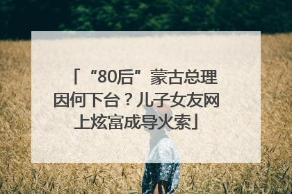“80后”蒙古总理因何下台？儿子女友网上炫富成导火索
