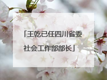 王乾已任四川省委社会工作部部长