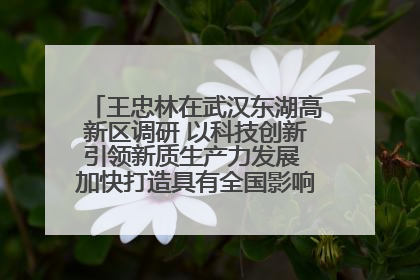 王忠林在武汉东湖高新区调研 以科技创新引领新质生产力发展 加快打造具有全国影响力的科技创新高地