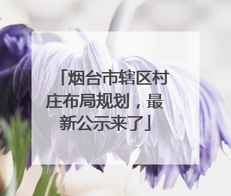 烟台市辖区村庄布局规划，最新公示来了