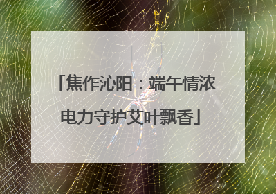 焦作沁阳：端午情浓 电力守护艾叶飘香