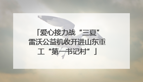爱心接力战“三夏” 雷沃公益机收开进山东重工“第一书记村”