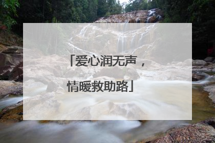 爱心润无声，情暖救助路