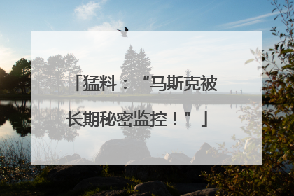 猛料：“马斯克被长期秘密监控！”