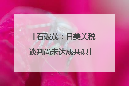 石破茂：日美关税谈判尚未达成共识