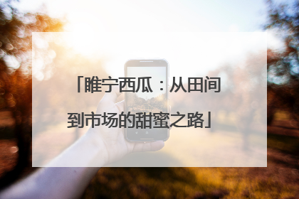 睢宁西瓜：从田间到市场的甜蜜之路