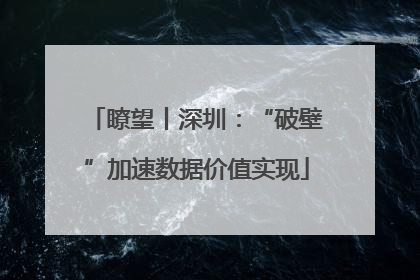 瞭望丨深圳：“破壁”加速数据价值实现
