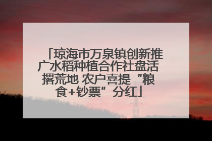 琼海市万泉镇创新推广水稻种植合作社盘活撂荒地 农户喜提“粮食+钞票”分红