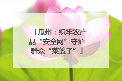 瓜州：织牢农产品“安全网”守护群众“菜篮子”