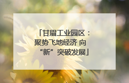 甘眉工业园区：聚势飞地经济 向“新”突破发展