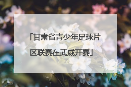 甘肃省青少年足球片区联赛在武威开赛
