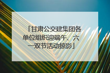 甘肃公交建集团各单位组织迎端午、六一双节活动掠影