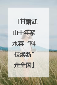 甘肃武山千年浆水菜“科技焕新”走全国