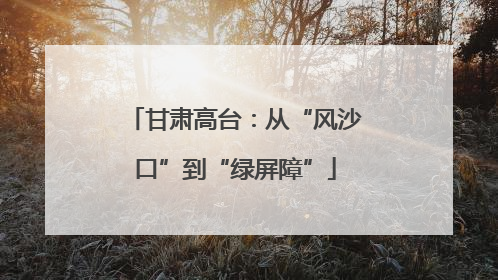 甘肃高台：从“风沙口”到“绿屏障”
