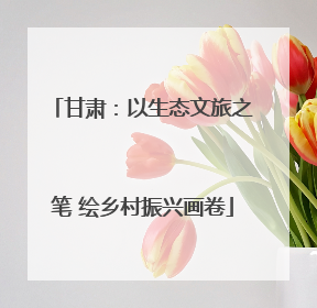 甘肃：以生态文旅之笔 绘乡村振兴画卷