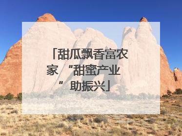 甜瓜飘香富农家 “甜蜜产业”助振兴