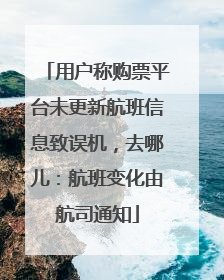用户称购票平台未更新航班信息致误机，去哪儿：航班变化由航司通知