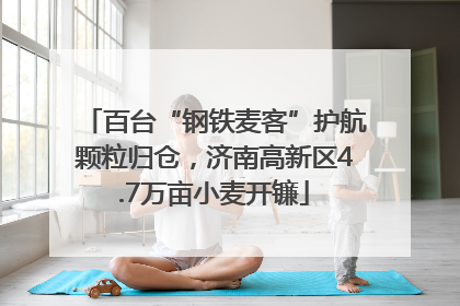 百台“钢铁麦客”护航颗粒归仓，济南高新区4.7万亩小麦开镰