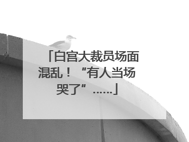 白宫大裁员场面混乱！“有人当场哭了”……