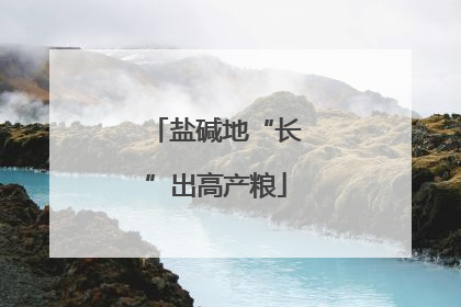 盐碱地“长”出高产粮