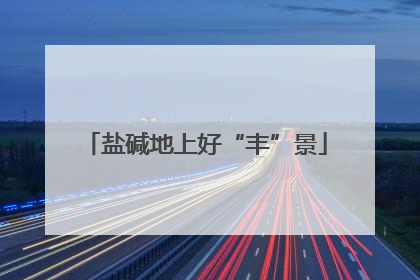 盐碱地上好“丰”景