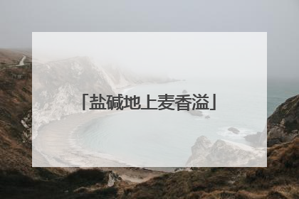 盐碱地上麦香溢