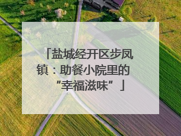 盐城经开区步凤镇：助餐小院里的“幸福滋味”