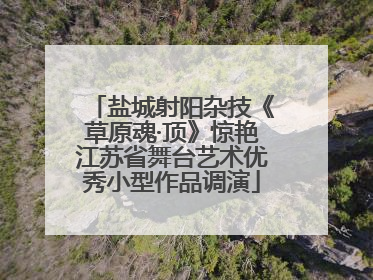 盐城射阳杂技《草原魂·顶》惊艳江苏省舞台艺术优秀小型作品调演