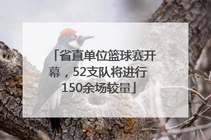省直单位篮球赛开幕，52支队将进行150余场较量