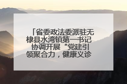 省委政法委派驻无棣县水湾镇第一书记 协调开展“党建引领聚合力，健康义诊惠乡亲”义诊活动