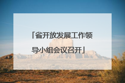 省开放发展工作领导小组会议召开