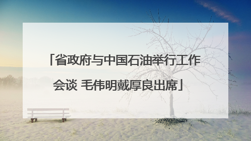 省政府与中国石油举行工作会谈 毛伟明戴厚良出席