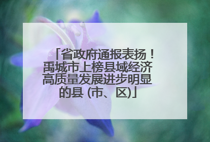 省政府通报表扬！禹城市上榜县域经济高质量发展进步明显的县 (市、区)