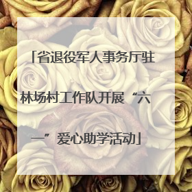 省退役军人事务厅驻林场村工作队开展“六一”爱心助学活动