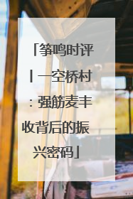 筝鸣时评丨一空桥村：强筋麦丰收背后的振兴密码