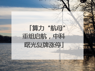 算力“航母”重组启航，中科曙光复牌涨停