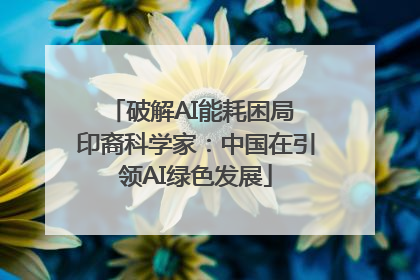 破解AI能耗困局 印裔科学家：中国在引领AI绿色发展