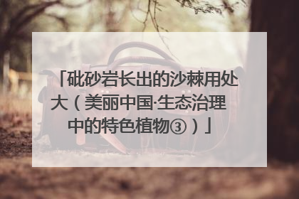 砒砂岩长出的沙棘用处大（美丽中国·生态治理中的特色植物③）