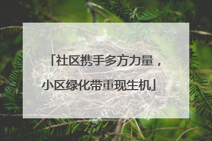 社区携手多方力量，小区绿化带重现生机