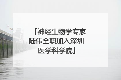 神经生物学专家陆伟全职加入深圳医学科学院