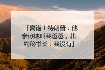 离谱！特朗普：他亲热地叫我爸爸，北约秘书长：我没有