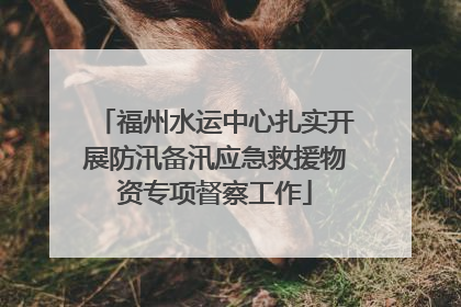 福州水运中心扎实开展防汛备汛应急救援物资专项督察工作