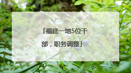 福建一地5位干部，职务调整